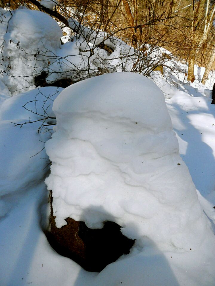 白雪皑皑，乡情郁郁(持续更新)图2