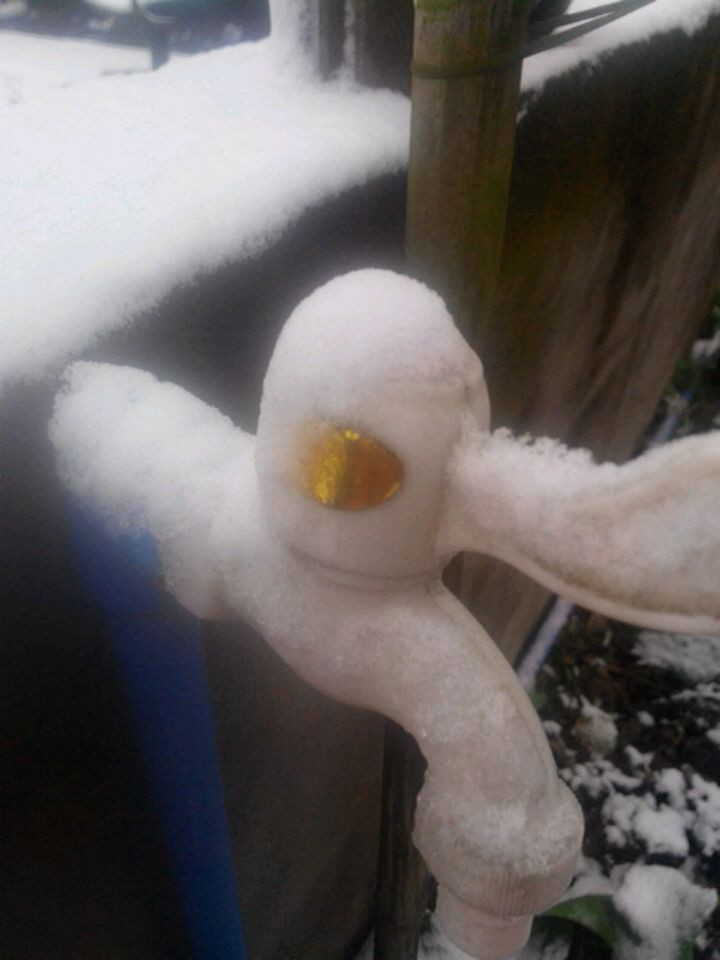 雪，一片一片，一片一片……图6
